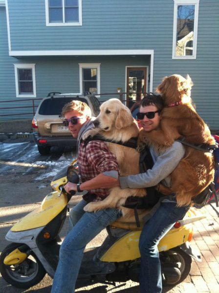 Some of the Strangest People in the World