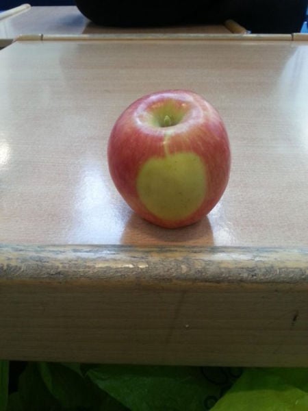 You Probably Missed It. Part 2