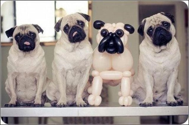 You Probably Missed It. Part 2