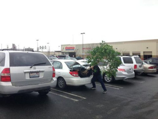 The World Really Is Full of Stupid People