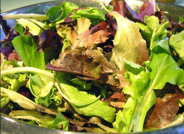 Truly Disgusting Things People Have Found in Their Food