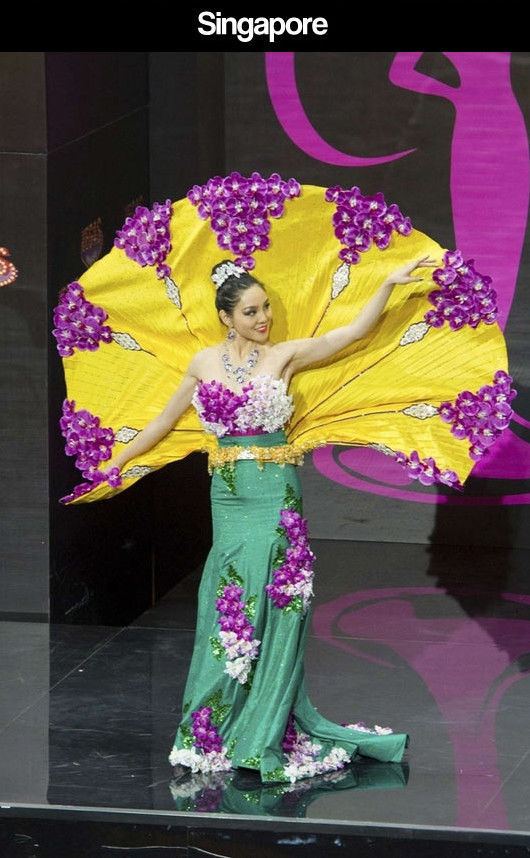 Miss Universe Pageant Contestants Parade Costumes for Their Country