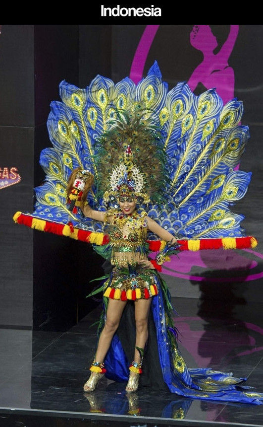 Miss Universe Pageant Contestants Parade Costumes for Their Country
