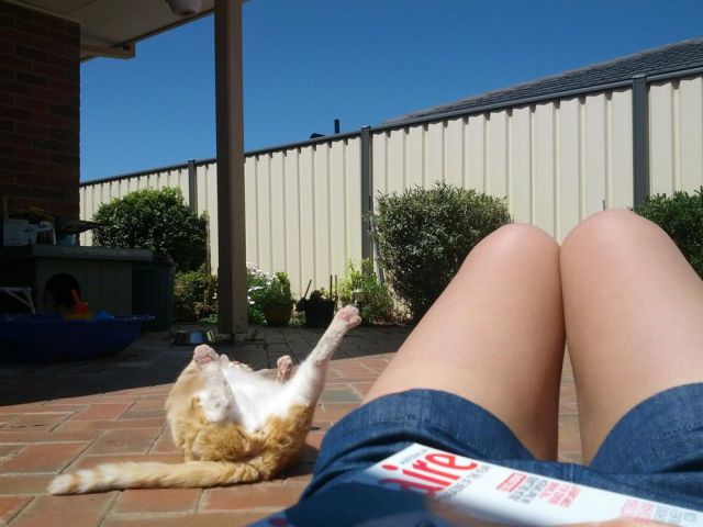 Daily Picdump [WEEKEND EDITION]