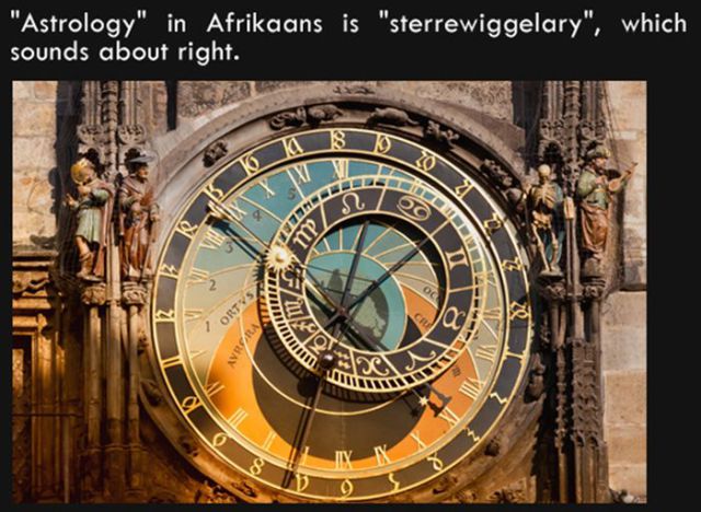 Silly Facts That Are Pretty Interesting