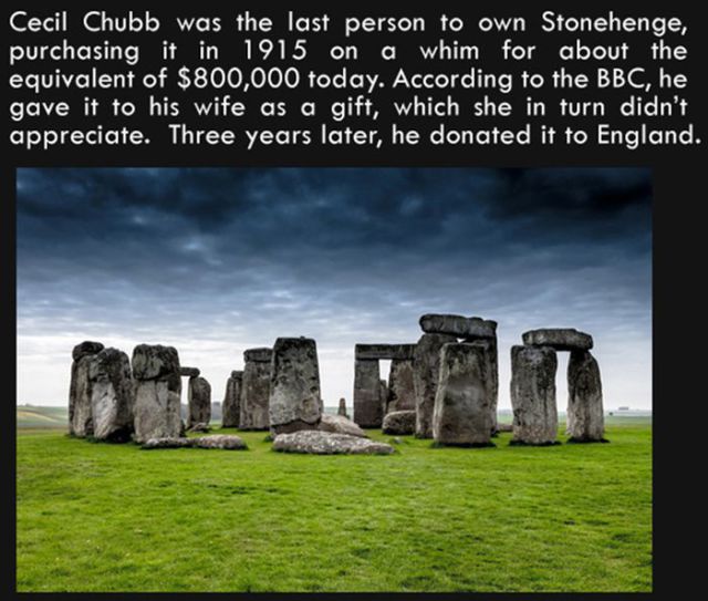 Silly Facts That Are Pretty Interesting