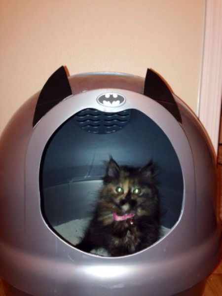 OMG Give That To Me Immediately!