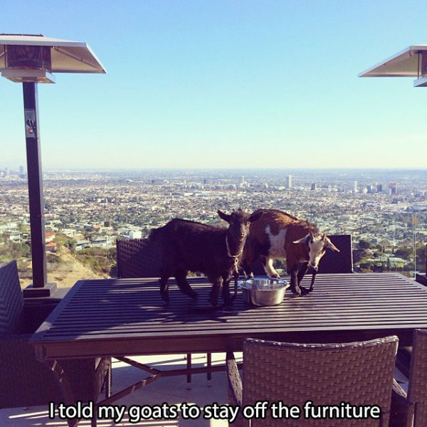 Some Will Consider This Guy