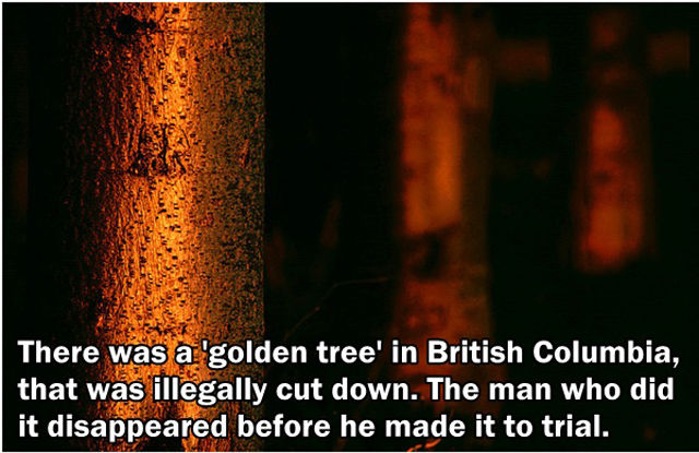 Interesting and Unusual Facts