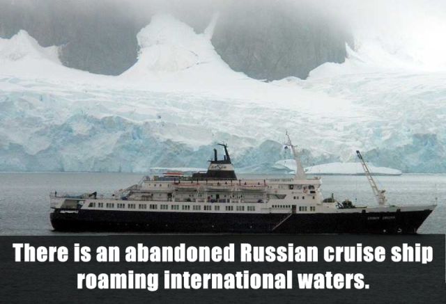 Interesting and Unusual Facts