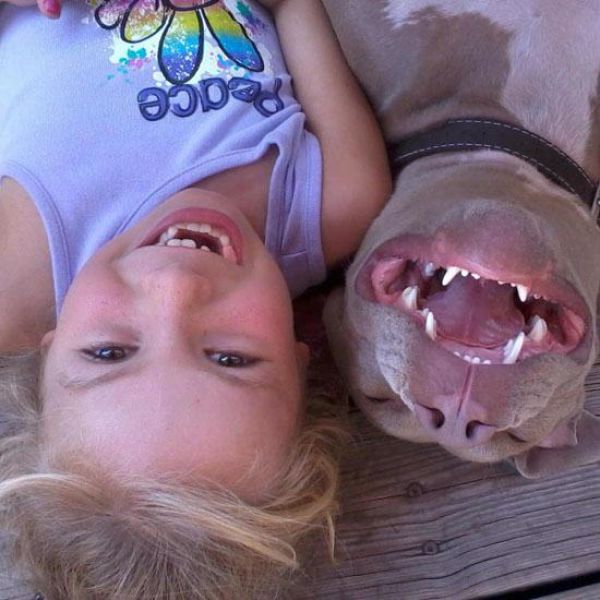 The Cuter and Softer Side of Pitbulls