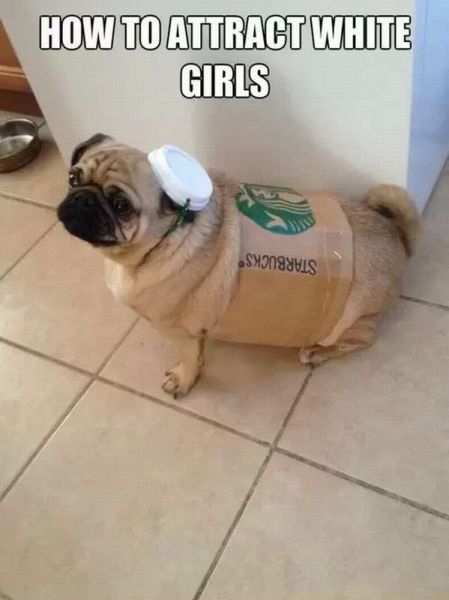 White Girls Are Their Own Species