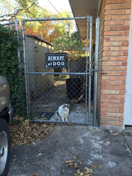 Well That Doesn’t Look Right