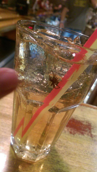 Hell Nope, Not in a Million Years!