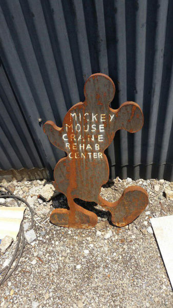 Hell Nope, Not in a Million Years!