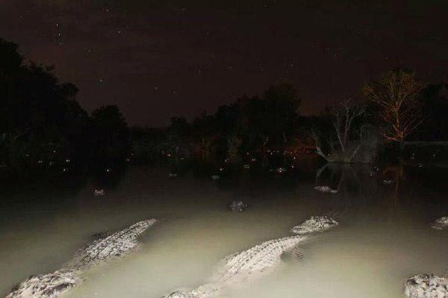 Hell Nope, Not in a Million Years!