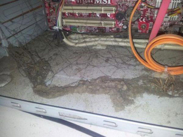 Hell Nope, Not in a Million Years!