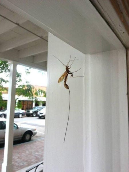 Hell Nope, Not in a Million Years!