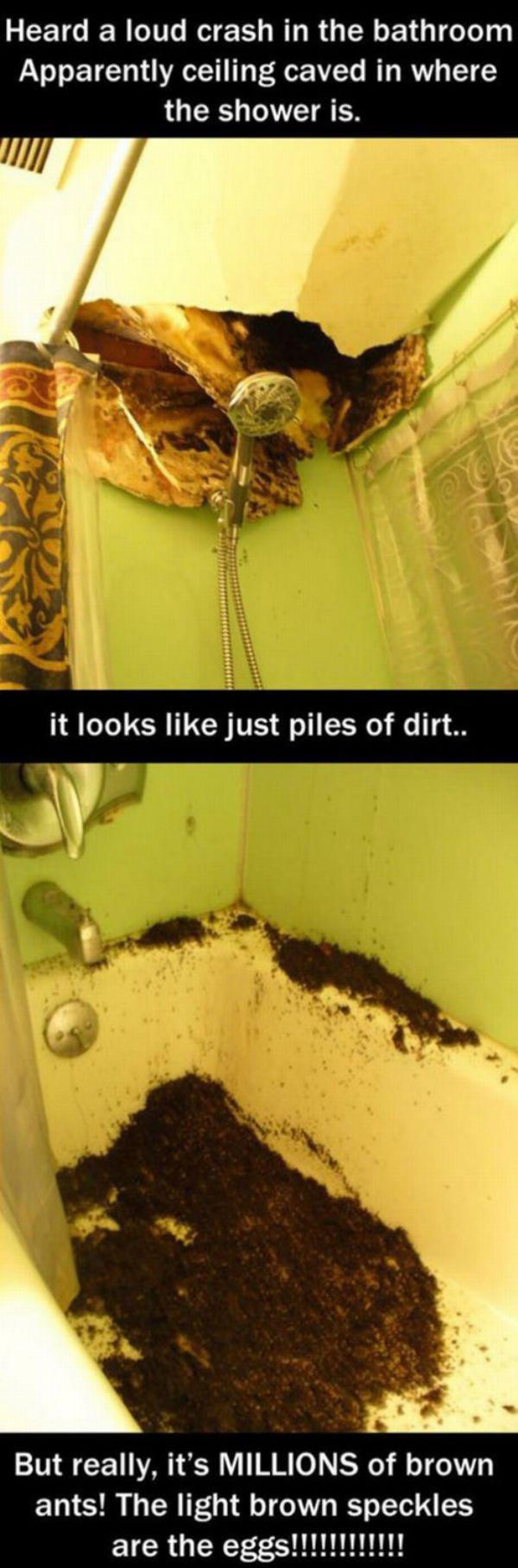 Hell Nope, Not in a Million Years!