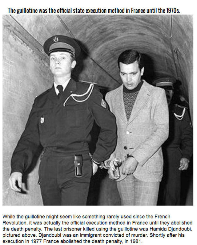 The Factual and Scientific History of Decapitation