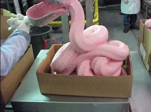 Banned World Foods That People Still Eat in the USA