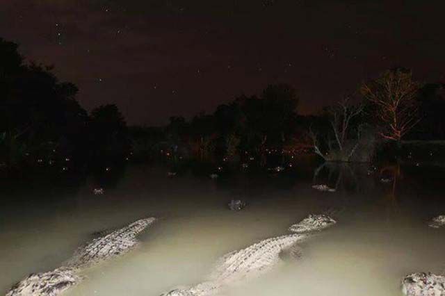 Pictures That Will Haunt Your Dreams Tonight