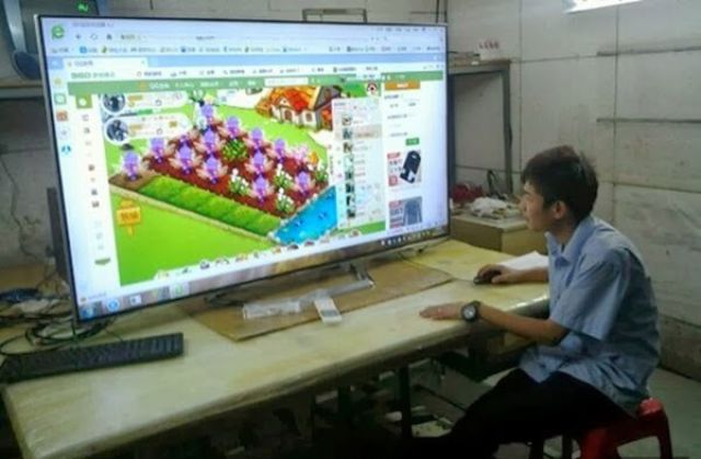 The Weird Stuff You Will Only See in Asia