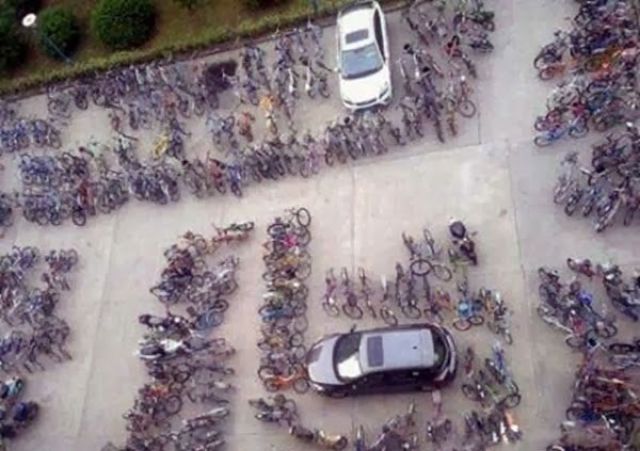 The Weird Stuff You Will Only See in Asia