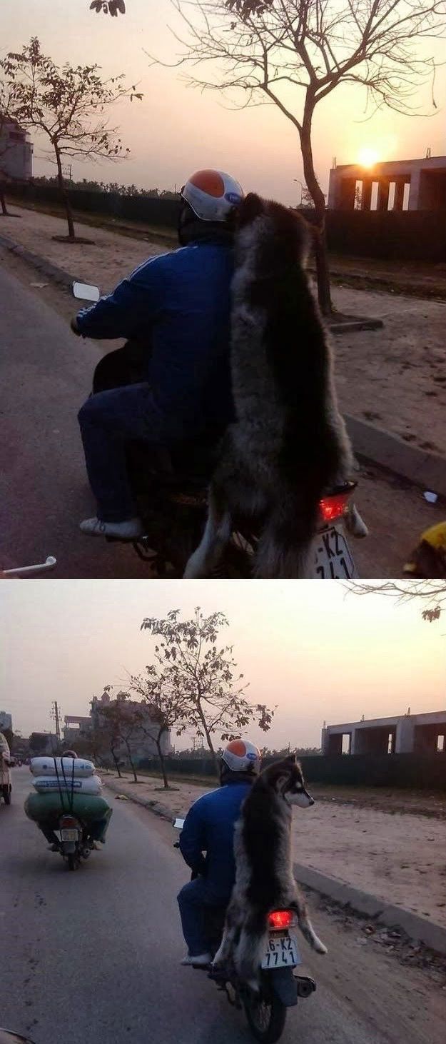 The Weird Stuff You Will Only See in Asia