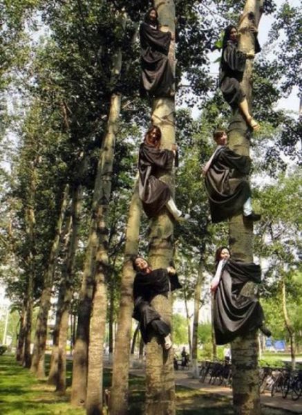 The Weird Stuff You Will Only See in Asia