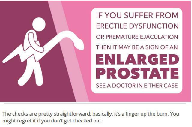 Things You Probably Didn’t Know about Penises in General