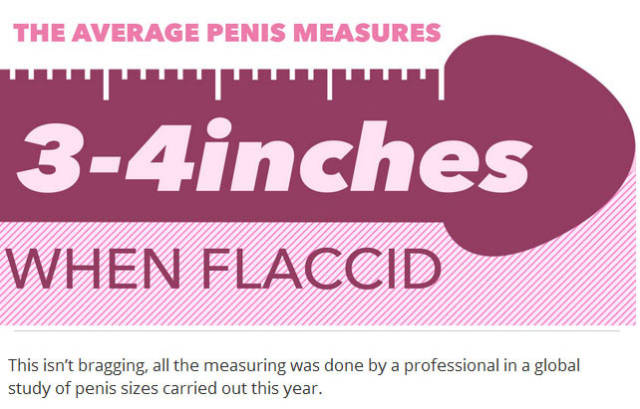 Things You Probably Didn’t Know about Penises in General