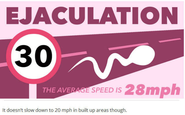 Things You Probably Didn’t Know about Penises in General