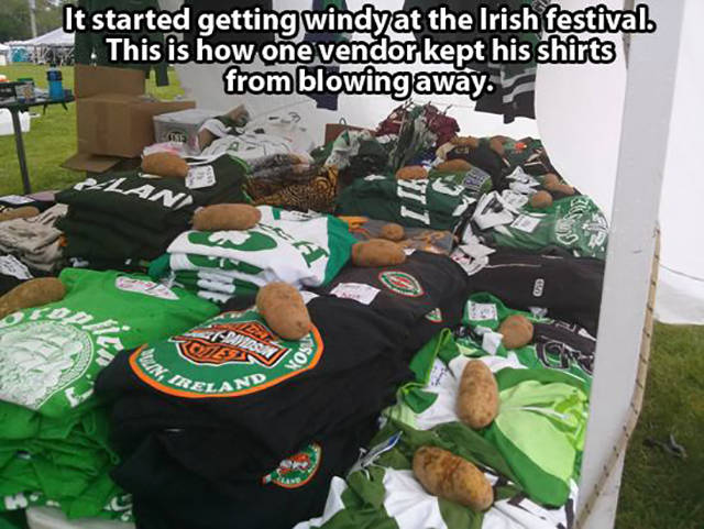 When Wind Is a Total Jerk