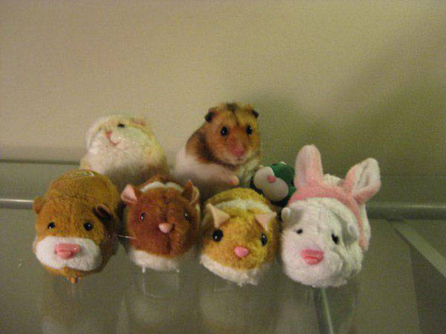 Wait, Take a Closer Look!