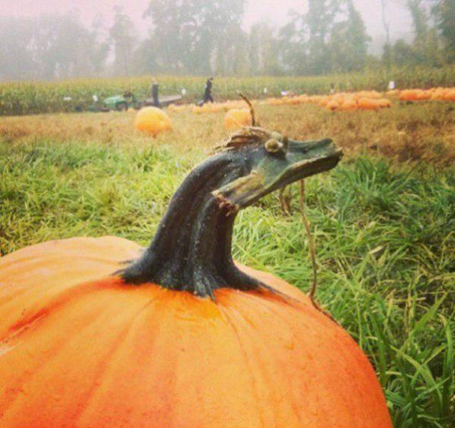 Wait, Take a Closer Look!