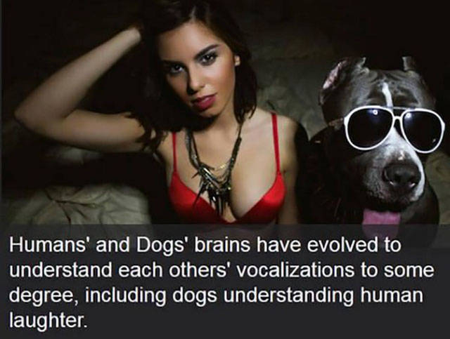 Interesting Facts about Anything and Everything