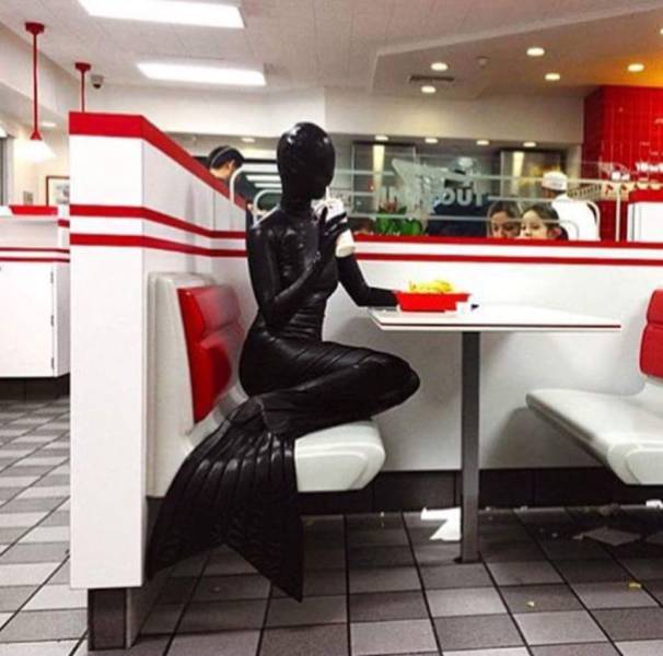 WTF Did I Just Watch?