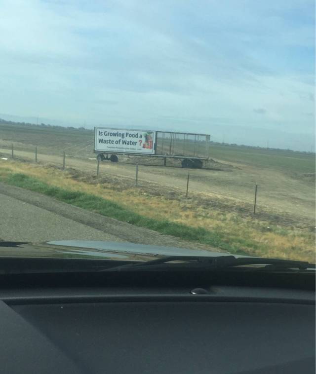 WTF Did I Just Watch?