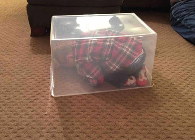 Kids That Totally Suck At Hide And Seek