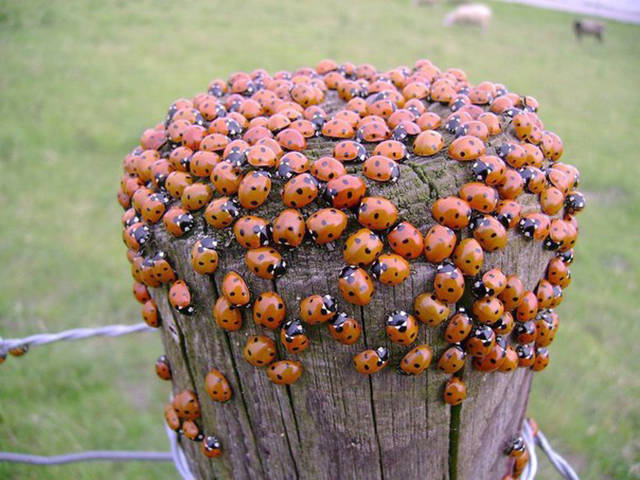 Fascinating Photos That Speak For Themselves