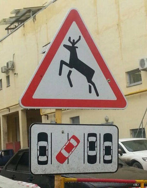 Another Batch Of Photos With Road Funnies