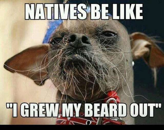 Hilarious Memes That Will Make Your Day