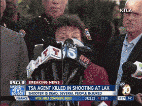 Compilation Of The Best Live News Bloopers In Gifs