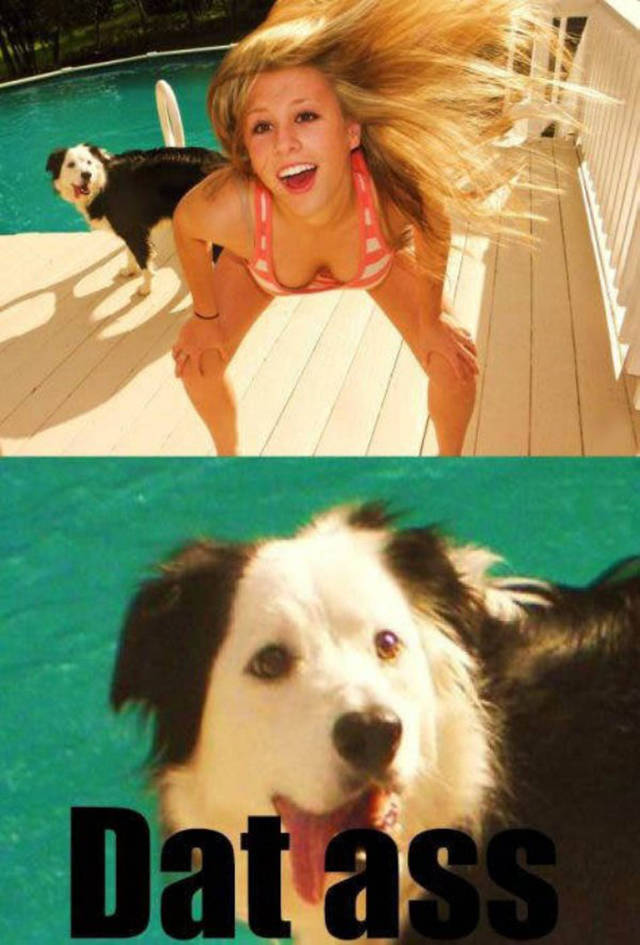 A Bit Of Dirty Humor Can Never Hurt