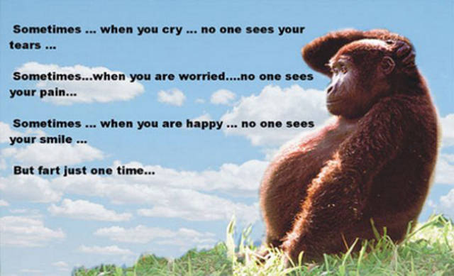 A Bit Of Dirty Humor Can Never Hur