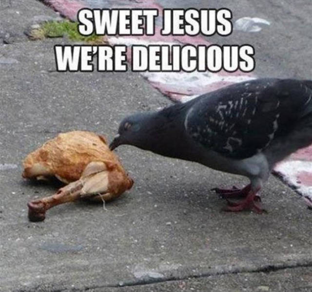 A Bit Of Dirty Humor Can Never Hur