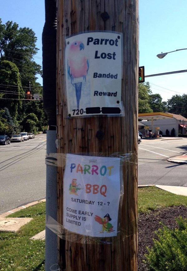 Funny Yard Signs That Are Impossible Not To Notice