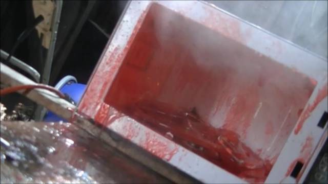 What Happens To The Things You’re Not Supposed To Microwave