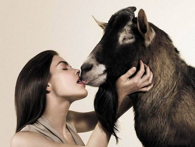 Girls Just Wanna Have Fun